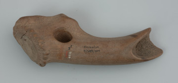 Topór z poroża jelenia szlachetnego - ujęcie z dołu; Toporek z poroża jelenia szlachetnego, wykonany z lewej tyki zrzutki średniej wielkości samca. Zachowana róża tworzy obuch. przy obuchu widoczne podstawy dwóch parostków. Owalny otwór na trzonek przewiercony został wiertarką łukową prostopadle do osi tyki, pomiędzy różą a nadoczniakiem. Ostrze uformowano skośnie w stosunku do głównej osi narzędzia. Powierzchnia toporka jest zdarta i zagładzona. Uszkodzona została także gąbczasta struktura wewnętrzna, a w otworach poroża zachowały się drobiny żwiru i piasku. Przy ostrzu widoczna ciemna plama powstała prawdopodobnie przez wylanie substancji konserwującej.