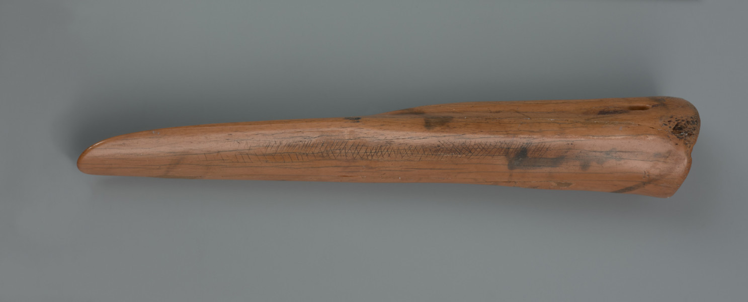 ostrze kościane ornamentowane - ujęcie z boku; Ostrze wykonane z kości śródstopia jelenia poprzez ścięcie podłużnego jej fragmentu w połowie długości. Część pracująca ma kształt szpatułkowaty o zaokrąglonej, na skutek użytkowania, krawędzi. Zabytek pokryty jest pojedynczym pasmem ornamentu, składającym się z dwóch serii nacięć, które przebiega wzdłuż krawędzi części pracującej ku podstawie. Podwójne pasma ukośnych nacięć miejscami nakładają się na siebie tworząc wzór kratki lub jodełki. Ornament jest zatarty przy części pracującej na skutek użytkowania. W efekcie długotrwałego przebywania w torfowisku kość zmieniła kolor na lekko pomarańczowy.