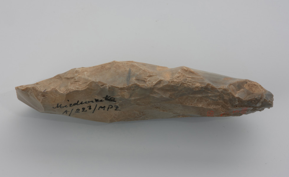 Duży ciosak rdzeniowy o przekroju soczewkowatym - ujęcie z boku; Ciosak rdzeniowy wykonany kamiennym tłuczkiem z dosyć dużej bryły krzemienia kredowego wysokiej jakości. Na obuchu są widoczne liczne ślady użytkowania i drobne wyłuskania na ostrzu, które co najmniej raz było naprawiane poprzez odbicie odłupka zaostrzającego.