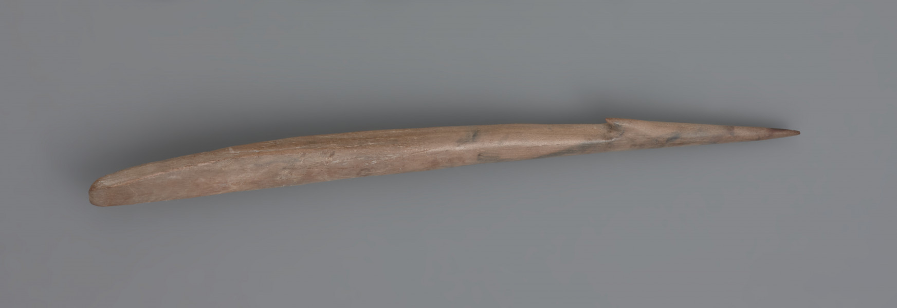 harpun z jednym zadziorem - ujęcie z boku; Harpun z jednym zadziorem wykonany z fragmentu kości długiej śródstopia jeleniowatego. Podłużny, o owalnym przekroju i zachowanej naturalnej wklęsłości wewnętrznej części kości. Nosi liczne ślady skrobania i strugania narzędziami krzemiennymi, w postaci podłużnych linii i poprzecznego prążkowania. Wierzchołek został dodatkowo zagładzony. Niewielki, stożkowaty zadzior odchylony jest od trzonka o około 45 stopni. podstawa dwustronnie ścieniana.