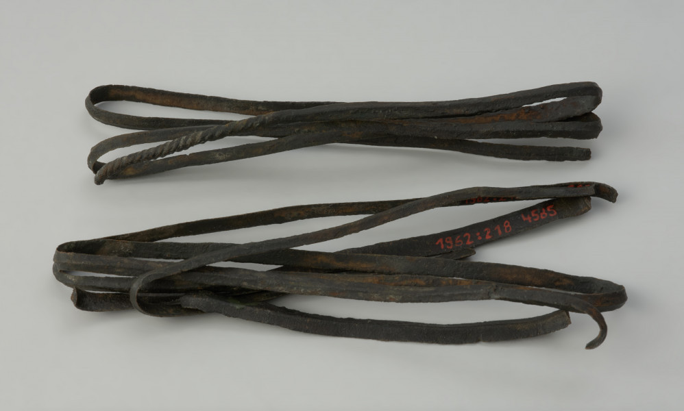 taśma - Ujęcie w poziomie tyłu. Surowiec brązowy w postaci wiązki cienkiej taśmy.