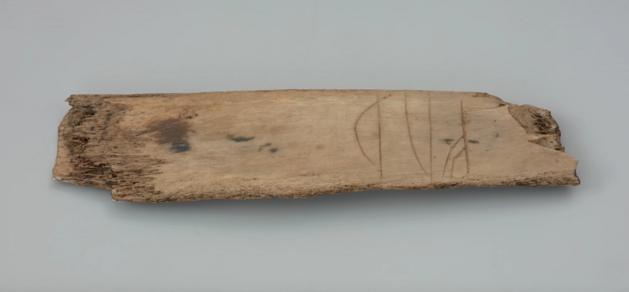 kość z napisem runicznym - Ujęcie tyłu kości z góry. Fragment żebra zwierzęcego o nieokreślonym gatunku, obustronnie obłamany. Powierzchnia zabytku jest gładka. Po obydwóch stronach znajdują się płytko wycięte nożem runy zapisane w alfabecie runicznym zwanym futhark (fuþark).
