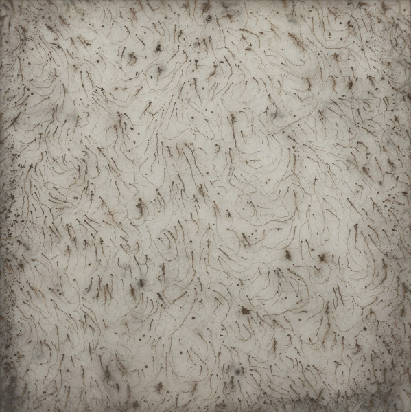 dzieło wizualne - Ujęcie z przodu. Obiekt w aluminiowej ramie pod pleksi. Wewnątrz na całej powierzchni gruba warstwa białej flizeliny pokryta wijącymi się, drobnymi korzonkami, małymi grudkami wysuszonej ziemi i splątanymi włosami. Niektóre z korzonków zakończone formą krzyża. Plecy z płyty pilśniowej.