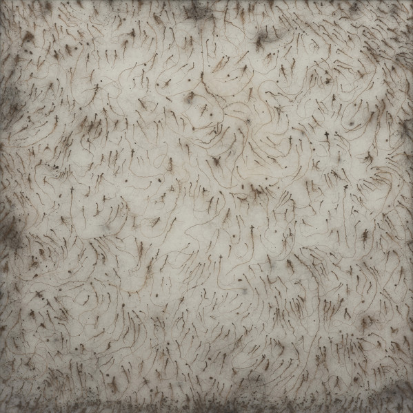 dzieło wizualne - Ujęcie z przodu. Obiekt w aluminiowej ramie pod pleksi. Wewnątrz na całej powierzchni gruba warstwa białej flizeliny pokryta wijącymi się, drobnymi korzonkami, małymi grudkami wysuszonej ziemi i splątanymi włosami. Niektóre z korzonków zakończone formą krzyża. Plecy z płyty pilśniowej.