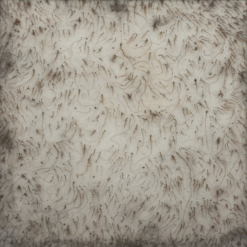 dzieło wizualne - Ujęcie z przodu. Obiekt w aluminiowej ramie pod pleksi. Wewnątrz na całej powierzchni gruba warstwa białej flizeliny pokryta wijącymi się, drobnymi korzonkami, małymi grudkami wysuszonej ziemi i splątanymi włosami. Niektóre z korzonków zakończone formą krzyża. Plecy z płyty pilśniowej.