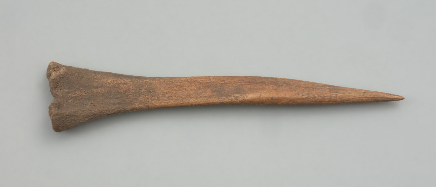 szydło, narzędzie kolne - Ujęcie z góry; Smukłe szydło z ostrzem wykonanym na trzpieniu kości strzałkowej dzika lub świni, przez jednostronne ścięcie ukośne (ostrze asymetryczne) oraz zeszlifowanie. Tył szydła jest naturalną główką bliższą kości.