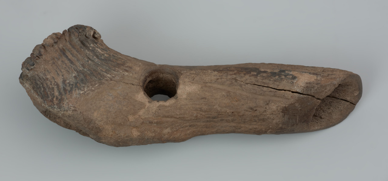 Topór z poroża jelenia szlachetnego, tzw. typu Kongemose - ujęcie z góry; Topór posiada skośne ostrze i asymetryczny otwór na trzonek, nawiercany z dwóch stron. Na ostrzu i obuchu widoczne ślady intensywnej pracy: wyłuskania, wymiażdżenia, zagładzenia i wyłamania sponigiozy. Przy obuchu i otworze na trzonek widoczne pozostałości oczniaka i nadoczniaka. Pomiędzy resztkami uperlenia przy obuchu widoczne plamy margla. Powierzchnia silnie zniszczona na skutek pękania i łuszczenia, co jest efektem wysychania zabytku. Ciemna barwa jest efektem długotrwałego zalegania w środowisku beztlenowym.