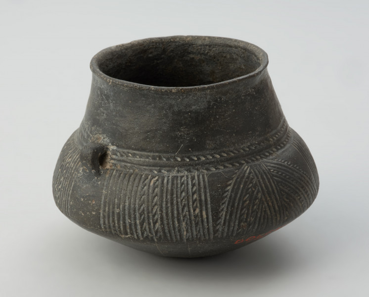 Dwuucha gliniana amfora o czarnej, lśniącej powierzchni. - Ujęcie z przodu skosem w lewą stronę. Dwuucha glinina amfora o czarnej, lśniącej powierzchni. Posiada wysoką wydzieloną szyjkę, która lekko rozszerza się ku dwustożkowatemu brzuścowi. Naczynie posiada dekorację w formie jodełki, linii rytych oraz ukośnych nacięć.