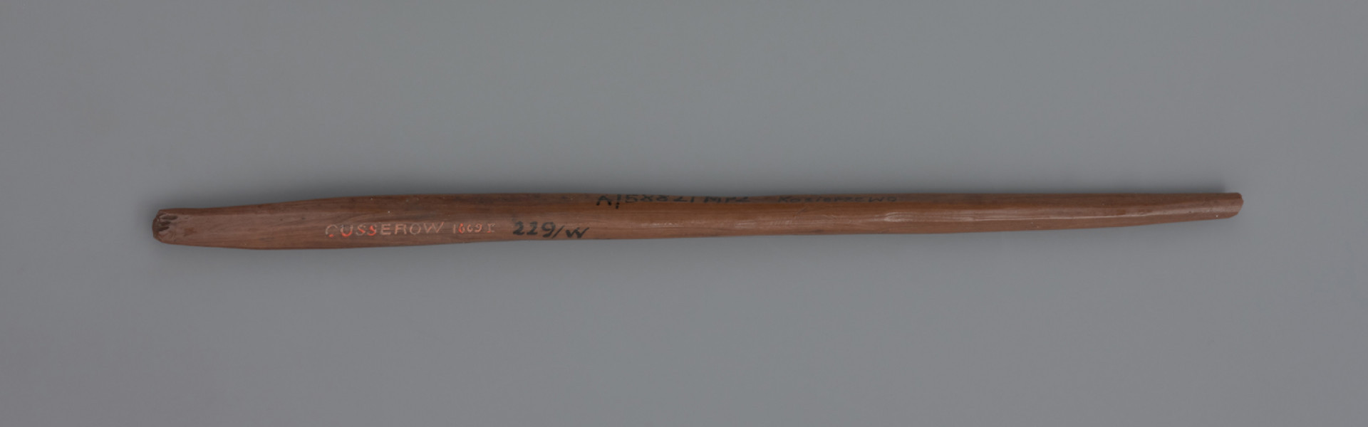 Ostrze kościane - ujęcie z tyłu; Ostrze kościane ze spłaszczoną podstawą, w przekroju lekko owalne. Wykonane z kości długiej dużego ssaka. Zabytek ma odłamany wierzchołek, a samo złamanie nosi ślady klejenia. Na skutek skrobania i strugania zabytek pokryty jest w całości charakterystycznymi podłużnymi liniami oraz poprzecznymi prążkami. Widoczne są także drobne nacięcia. Doskonałe zachowanie śladów produkcyjnych sugeruje, że zabytek nie był używany, lub użytkowanie nie było zbyt intensywne. Na skutek długotrwałego przebywania w torfowisku zabytek zmienił kolor na pomarańczowy.