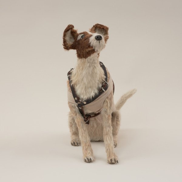 instalacja - Ujęcie z przodu. Instalacja złożona z dwóch elementów: obiektu (pies wykonany z masy papierowej i sierści, w ubranku z pikowanej tkaniny i szelkach ze skóry ekologicznej) oraz animacji na płycie DVD (widok rozgwieżdżonego nieba).