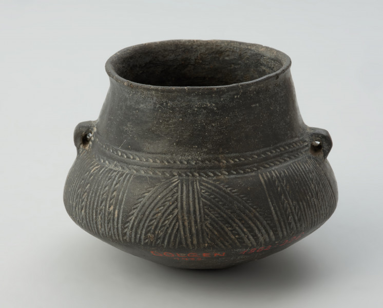 Dwuucha gliniana amfora o czarnej, lśniącej powierzchni. - Ujęcie z przodu. Dwuucha glinina amfora o czarnej, lśniącej powierzchni. Posiada wysoką wydzieloną szyjkę, która lekko rozszerza się ku dwustożkowatemu brzuścowi. Naczynie posiada dekorację w formie jodełki, linii rytych oraz ukośnych nacięć.