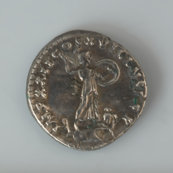 Ujęcie rewersu. Denar (moneta srebrna) cesarza Domicjana. Moneta jest dobrze zachowana z obu stron, a napisy i wyobrażenia postaci na awersie i rewersie są w większości czytelne. Na awersie monety znajduje się przedstawienie głowy cesarza Domicjana w wieńcu laurowym zwróconej prawym profilem. Wokół niej, w otoku widnieje napis IMP CAES DOMIT AVG-GERM P M TR P X. Rewers monety zdobi natomiast wyobrażenie wyprostowanej postaci Minerwy, będącej w mitologii rzymskiej boginią sztuki i rzemiosła, ale także bogini mądrości, nauki i literatury. Bogini stoi w udrapowanej sukni na kapitolu kolumny zwrócona w prawo. W prawej ręce Minerwa trzyma wzniesiony oszczep, na jej lewym ramieniu wisi uniesiona okrągła tarcza. Przy lewej, wysuniętej do przodu stopie bogini umieszczona jest postać siedzącej sowy. W otoku znajduje się napis IMP XXI COS XV CENS P P.