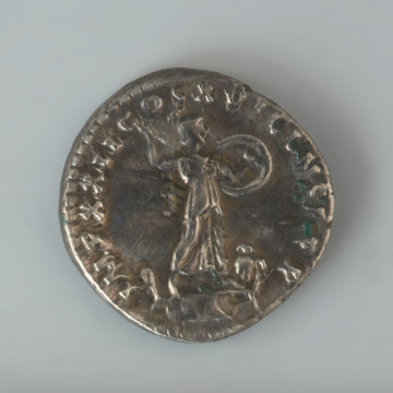 Ujęcie rewersu. Denar (moneta srebrna) cesarza Domicjana. Moneta jest dobrze zachowana z obu stron, a napisy i wyobrażenia postaci na awersie i rewersie są w większości czytelne. Na awersie monety znajduje się przedstawienie głowy cesarza Domicjana w wieńcu laurowym zwróconej prawym profilem. Wokół niej, w otoku widnieje napis IMP CAES DOMIT AVG-GERM P M TR P X. Rewers monety zdobi natomiast wyobrażenie wyprostowanej postaci Minerwy, będącej w mitologii rzymskiej boginią sztuki i rzemiosła, ale także bogini mądrości, nauki i literatury. Bogini stoi w udrapowanej sukni na kapitolu kolumny zwrócona w prawo. W prawej ręce Minerwa trzyma wzniesiony oszczep, na jej lewym ramieniu wisi uniesiona okrągła tarcza. Przy lewej, wysuniętej do przodu stopie bogini umieszczona jest postać siedzącej sowy. W otoku znajduje się napis IMP XXI COS XV CENS P P.