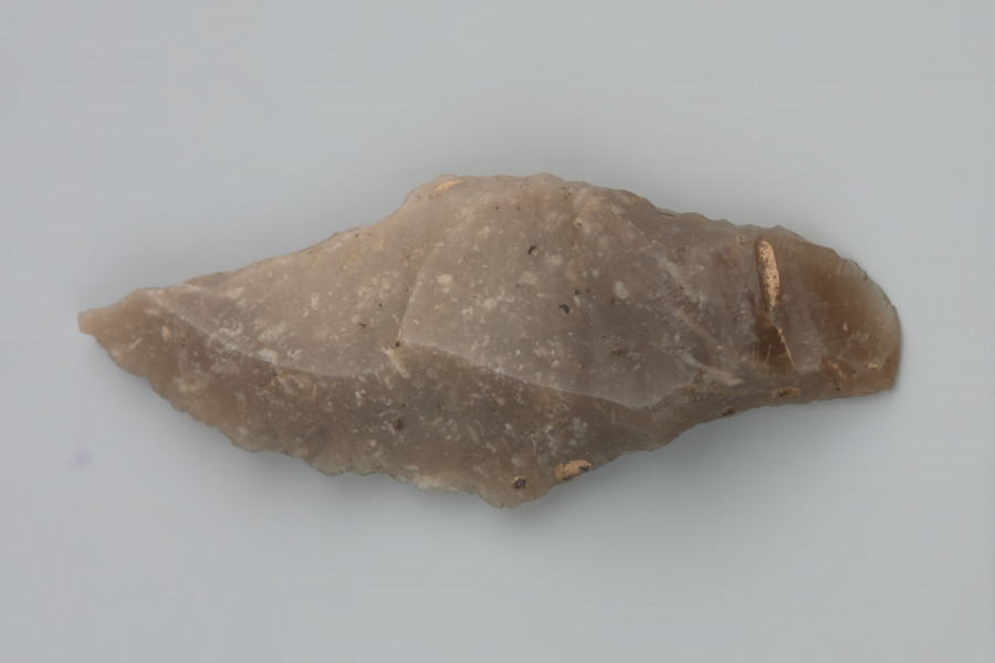 liściak typu Bromme - Ujęcie z góry; Liściak Bromme, wykonany z krótkiego wióra z krzemienia kredowego średniej jakości. Trzonek uformowany stromym retuszem. Także jedna z krawędzi ostrza jest retuszowana, jednak najprawdopodobniej jest to retusz wtórny, mający na celu naprawę zniszczonej sekcji. Na drugiej krawędzi widoczny jest retusz użytkowy, nieintencjonalny. Na stronie wierzchniej widoczne są negatywy wiórów odbijanych miękkim tłukiem. Masa krzemienna zawiera zmineralizowane szkielety mszywiołów Bryozoa. Powierzchnia nakrapiana czarnymi wżerami powstałymi na skutek trawienia kwasami humusowymi.