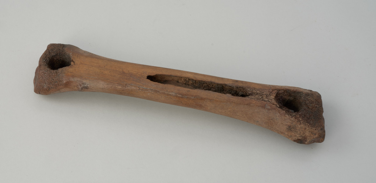 Łyżwa (płoza) - Ujęcie przodu z góry skosem w lewą stronę. Przedmiot wykonano z lewej przedniej kości promieniowej konia. Na obydwóch końcach, w okolicach główek znajdują się regularne, pojedyncze intencjonalnie wywiercone otwory. Dolna część zabytku jest płaska i mocno wyszlifowana z kilkoma podłużnymi zarysowaniami. Górna cześć kości jest naturalnie łukowata, a na jej powierzchnie można zaobserwować chropowaty ślad powstały po odrąbaniu kości łokciowej.