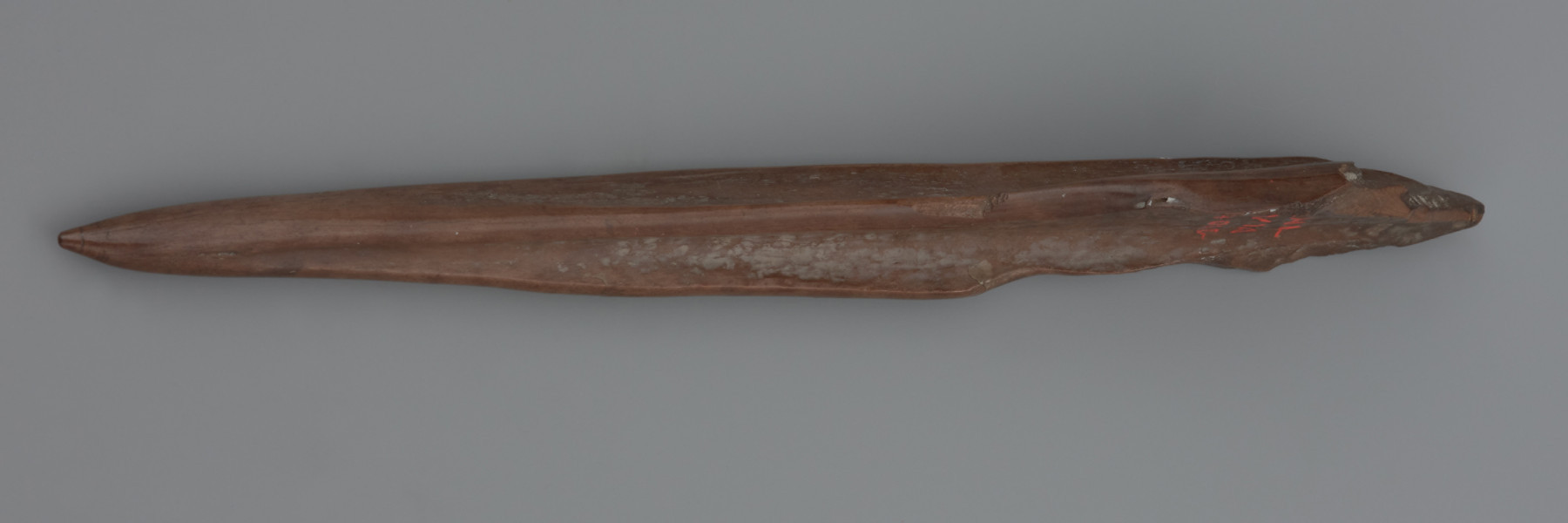 Przekłuwacz z kości długiej jeleniowatego - ujęcie z boku; Przekłuwacz wykonany z fragmentu trzonu kości długiej o asymetrycznym przekroju z częściowo zachowanymi naturalnymi powierzchniami, zewnętrzną oraz jamy szpikowej. Podstawa przekłuwacza jest złamana. Używany był do obróbki materiałów organicznych (np. skór). Na wierzchołku widoczne liczne ślady pracy (dookolne linie). Na skutek długotrwałego przebywania w torfowisku zabytek zmienił barwę na ciemnobrązową.