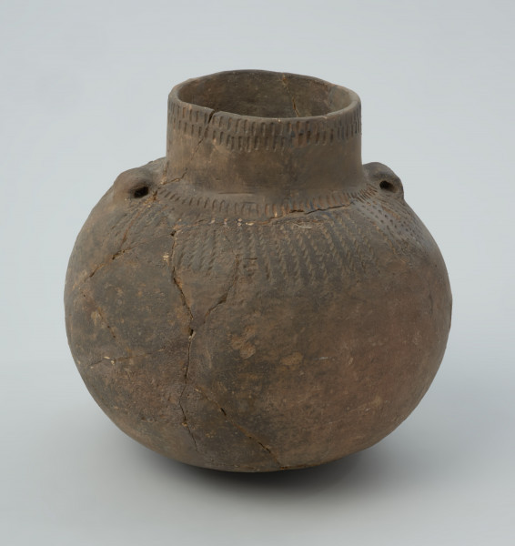 Naczynie gliniane - Ujęcie z przodu.  Amfora o baniastym brzuścu i cylindrycznej szyjce z parą taśmowatych uch umieszczonych pomiędzy nasadą szyjki i górną partią brzuśca, zdobiona na szyjce pod wylewem podwójnym pasmem pionowych stempelków (słupków), analogicznym, ale pojedynczym pasmem u nasady szyjki, a w górnej części brzuśca dookolnie parami pionowych linii odcisków sznura. Naczynie zrekonstruowane i uzupełnione gipsem barwionym. Barwa od szarobrunatnej przez brunatną po brązową.