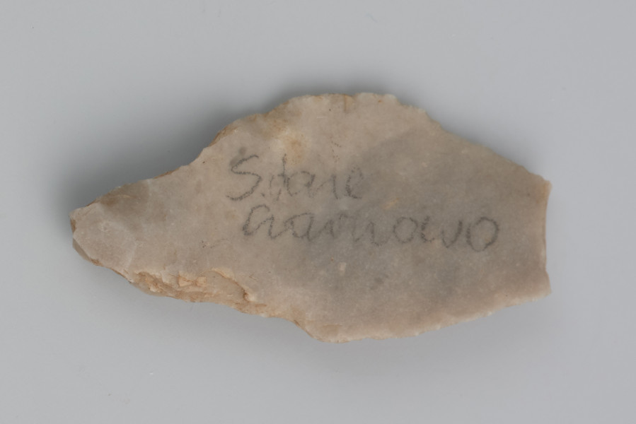 gror; liściak świderski - ujęcie z dołu; Liściak świderski ze Starego Czarnowa. Liściak został wykonany z podłużnego fragmentu krzemienia, tzw. wióra, odbitego od większej bryły. Do jego produkcji użyto krzemienia kredowego bardzo wysokiej jakości. Ma trzonek uformowany poprzez zaretuszowanie krawędzi półsurowca – odbijanie drobnych fragmentów krzemienia z obu stron, wierzchniej i spodniej. Jest to typowy zabieg stosowany w produkcji liściaków przez ludność reprezentującą archeologiczną kulturę świderską. Okaz ze Starego Czarnowa ma odłamany wierzchołek oraz zniszczenia widoczne na krawędziach, powstałe najprawdopodobniej w efekcie uderzenia w twardą powierzchnię, np. kość.