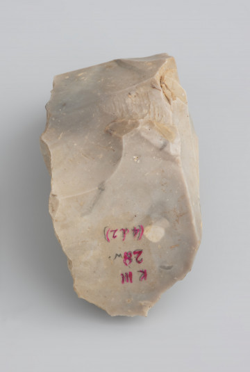 narzędzie nakopalniane - ujęcie z tyłu; Rdzeń wiórowy dwupiętowy, o odłupni wspólnej dla obu pięt (tzw. pryzmatyczny). Wykonany z krzemienia bardzo dobrej jakości. Jest to rdzeń o pełnej zaprawie, pozbawiony powierzchni korowych. Zabytek pokryty jest jasną patyną.