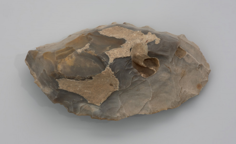 Półwytwór narzędzia makrolitycznego - ujęcie z góry; Półwytwór narzędzia makrolitycznego z Unimia, pow. łobeski pochodzi ze stanowiska, na którym w 1931 roku znaleziono przedmioty z różnych okresów paleolitu i mezolitu. Jest to półwytwór tzw. makrolitu, dużego narzędzia z krzemienia, służącego do różnego rodzaju ciężkich prac, takich jak obróbka drewna czy kopanie. Narzędzia makrolityczne są wyrobami typowymi dla społeczności łowców-zbieraczy z okresu mezolitu, mieszczące się w tradycji technologicznej tego okresu.