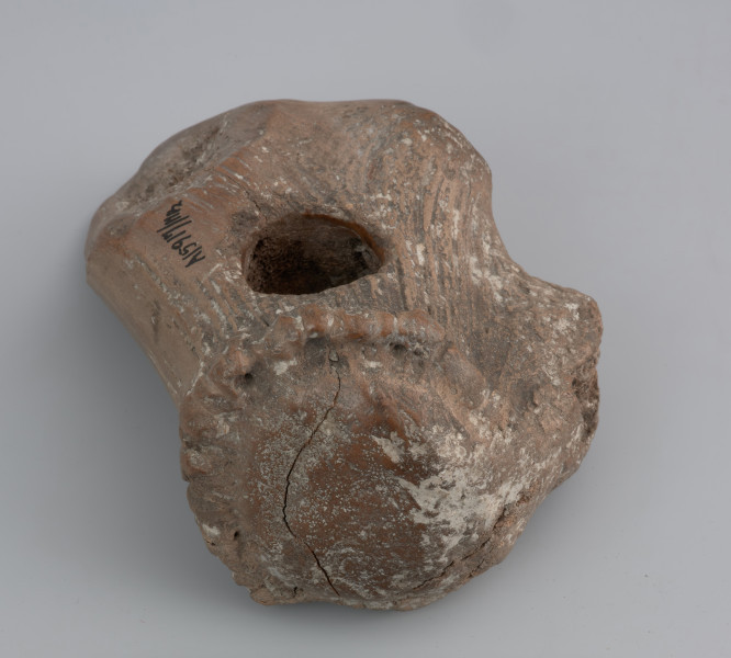 Motyka z poroża jelenia szlachetnego - ujęcie z dołu; Motyka powstała po odcięciu oczniaka i nadoczniaka prawej tyki poroża zrzuconego przez dużego osobnika jelenia szlachetnego. Część pracująca silnie zredukowana w wyniku intensywnego użytkowania i wielu napraw, co uniemożliwia ustalenie pierwotnej orientacji ostrza. Zachowana róża tworzyła obuch. Otwór na trzonek lekko asymetryczny, przebity z dwóch stron, prostopadle do naturalnej osi poroża, znajduje się w obecnie centralnej części narzędzia. Rozległe zagładzenia i silne zniszczenia wynikające z użytkowania wyraźne są na powierzchni ostrza i obucha. W miejscach o zachowanej pierwotnej, nieregularnej powierzchni poroża widać punktowe ślady osadów organicznych, prawdopodobnie margla lub kredy jeziornej. Na powierzchni widoczna ciemniejsza plama, powstała najprawdopodobniej na skutek polania środkiem konserwującym.