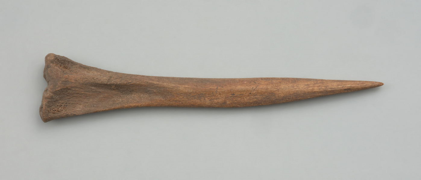 szydło, narzędzie kolne - Ujęcie z dołu; Smukłe szydło z ostrzem wykonanym na trzpieniu kości strzałkowej dzika lub świni, przez jednostronne ścięcie ukośne (ostrze asymetryczne) oraz zeszlifowanie. Tył szydła jest naturalną główką bliższą kości.