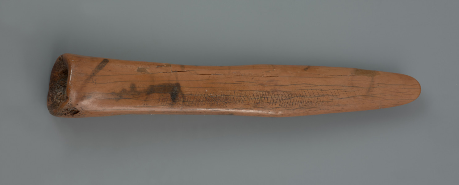 ostrze kościane ornamentowane - ujęcie z góry; Ostrze wykonane z kości śródstopia jelenia poprzez ścięcie podłużnego jej fragmentu w połowie długości. Część pracująca ma kształt szpatułkowaty o zaokrąglonej, na skutek użytkowania, krawędzi. Przeciwległy koniec tworzy okrągłą w przekroju podstawę. Zabytek pokryty jest pojedynczym pasmem ornamentu, składającym się z dwóch serii nacięć, które przebiega wzdłuż krawędzi części pracującej ku podstawie. Podwójne pasma ukośnych nacięć miejscami nakładają się na siebie tworząc wzór kratki lub jodełki. Ornament jest zatarty przy części pracującej na skutek użytkowania. W efekcie długotrwałego przebywania w torfowisku kość zmieniła kolor na lekko pomarańczowy.