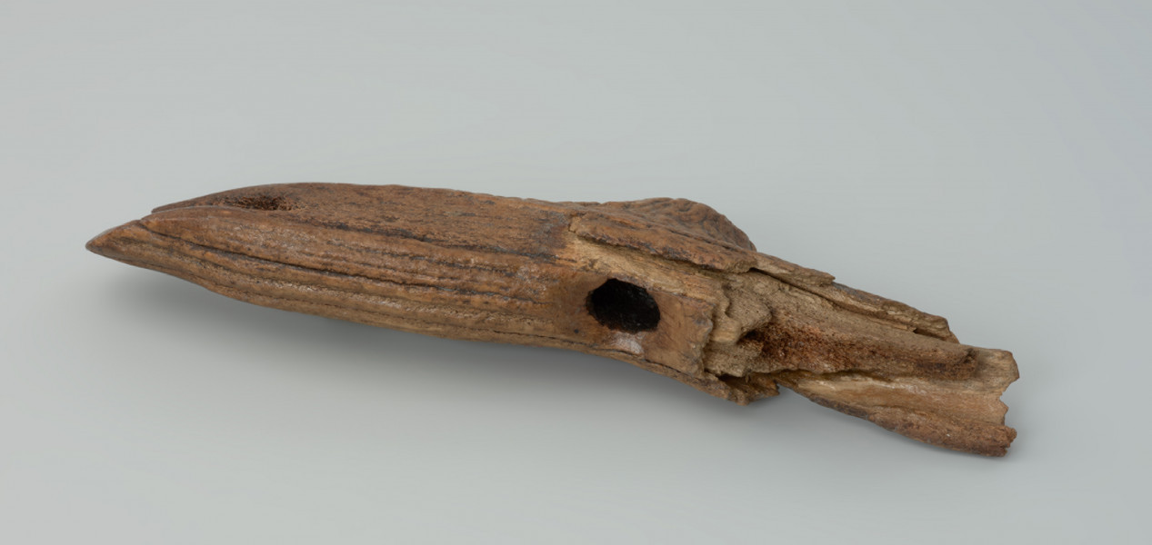 Topór T-kształtny - Ujęcie od dołu. Topór T-kształtny wykonany ze średniej wielkości tyki jelenia szlachetnego, bez zachowanej róży. W miejscu przebicia otworu na trzonek oraz na części pracującej zeskrobano kompaktę. Na ostrzu rozległe pęknięcie oraz późniejsze ślady użytkowania. Obuch całkowicie zniszczony. Na zabytku widoczne są kropki jasnej farby. Powierzchnia zabytku jest przebarwiona na skutek wyschnięcia i braku konserwacji.