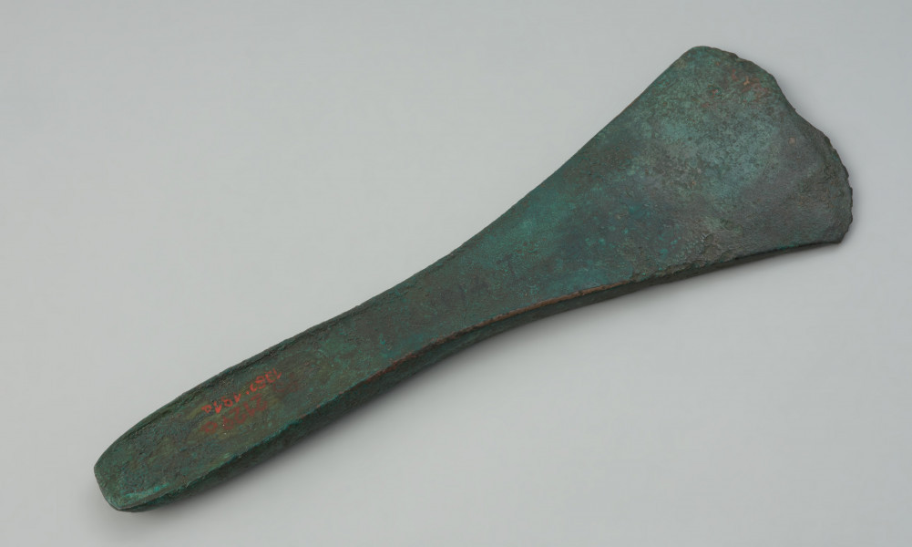 siekierka z podniesionymi brzegami typu Wrocław-Szczytniki - Ujęcie z góry tyłu siekierki. Smukła siekierka z nieco podniesionymi brzegami wykonana z brązu charakteryzuje się wąskim, długim obuchem przechodzącym w rozszerzone, trapezowate ostrze. Zabytek pokrywa zielona patyna.