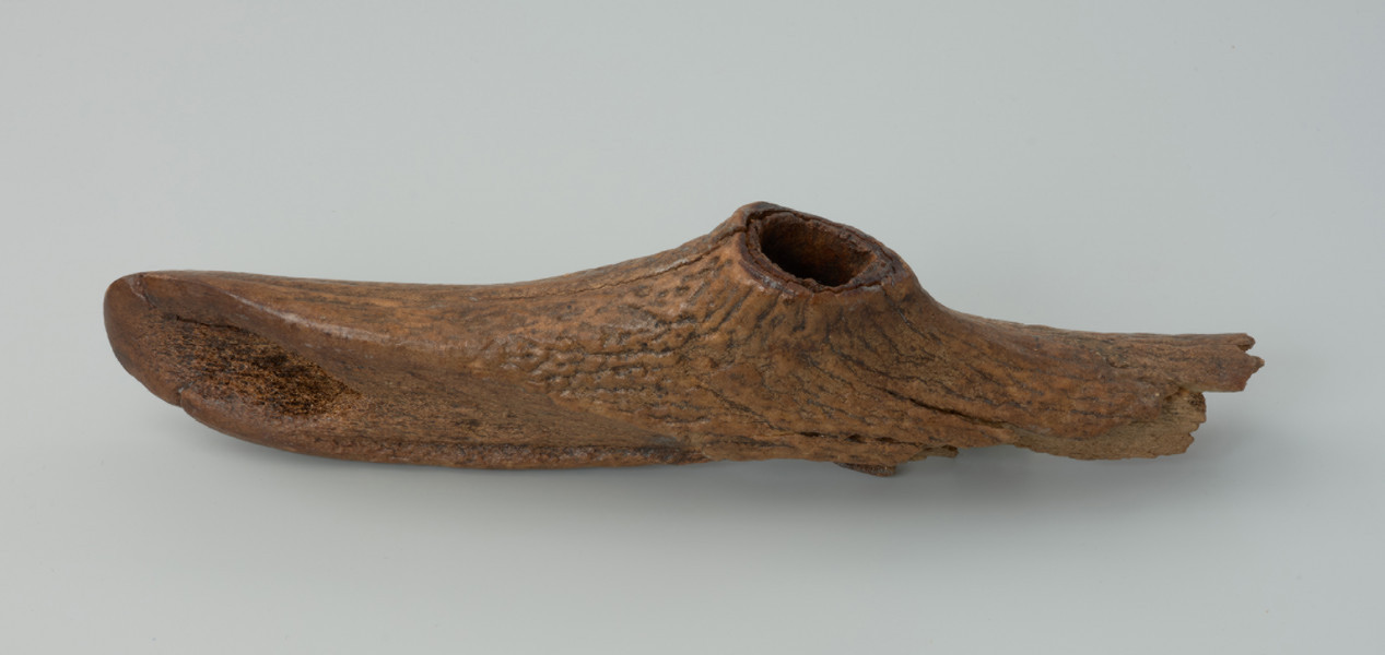 Topór T-kształtny - Ujęcie z góry. Topór T-kształtny wykonany ze średniej wielkości tyki jelenia szlachetnego, bez zachowanej róży. W miejscu przebicia otworu na trzonek oraz na części pracującej zeskrobano kompaktę. Na ostrzu rozległe pęknięcie oraz późniejsze ślady użytkowania. Obuch całkowicie zniszczony. Na zabytku widoczne są kropki jasnej farby. Powierzchnia zabytku jest przebarwiona na skutek wyschnięcia i braku konserwacji.