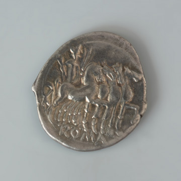 Ujęcie rewersu. Srebrny denar z okresu Republiki Rzymskiej. Na awersie monety znajduje się wyobrażenie głowy bogini Romy w skrzydlatym hełmie zwrócone prawym profilem. Po jej lewej stronie widnieje napis M Varg, a po prawej zatarte wyobrażenie  sześcioramiennej gwiazdy oznaczającej XVI. Wokół krawędzi biegnie rząd punktów. Na rewersie widnieje postać Jowisza w kwadrydze, zwrócona w prawo. W lewej ręce trzyma błyskawicę i wodze kwadrygi, a w prawej gałąź. Pod postacią widnieje napis ROMA.