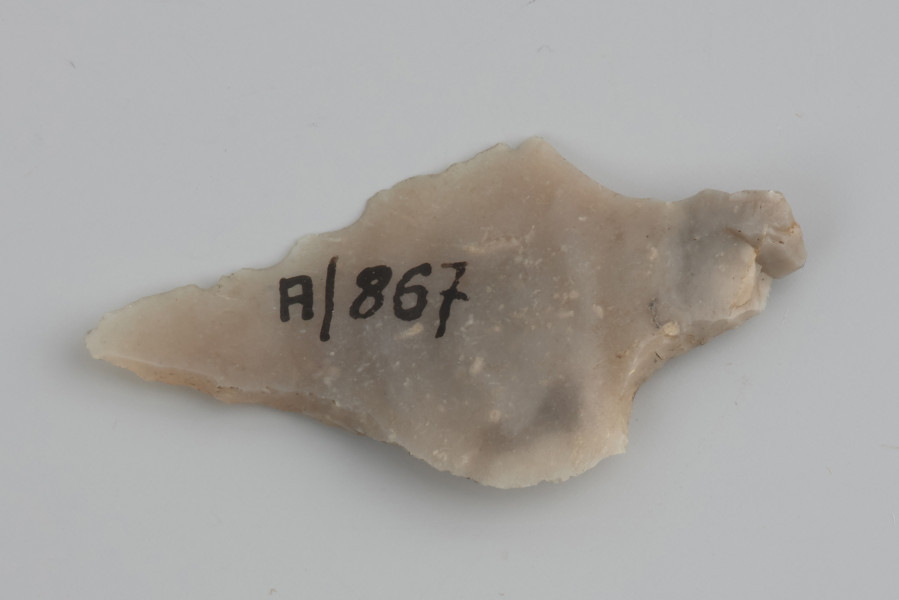 grot; liściak ahrensburski - ujęcie z dołu; Liściak wykonany z krótkiego wióra odbitego miękkim tłukiem, prawdopodobnie z tzw. wióra korekcyjnego, będącego odpadem eksploatacyjnym rdzenia pryzmatycznego. Na wyraźnie wyodrębnionym trzonku widoczny jest, zbliżony do prostokąta, ślad po nieskutecznej korekcie krawędzi rdzenia, poprzedzającej produkcję ostrza. Retusz wykonany został na stronie spodniej przy obu krawędziach ostrza. Na wierzchołku widoczny jest impakt - złamanie będące skutkiem uderzenia z dużą siłą w twardą powierzchnię. Powierzchnia liściaka jest silnie wyświecona na skutek długotrwałego zalegania na powierzchni.