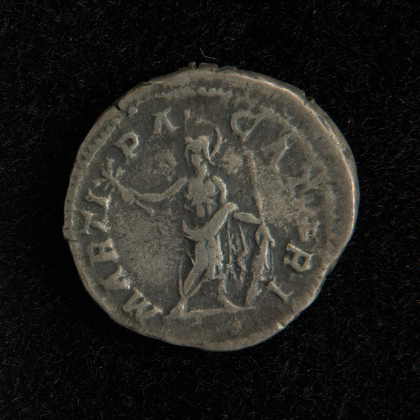 moneta srebrna - Ujęcie rewersu. Denar srebrny Karakalli. Powierzchnie nie są starte, a wyobrażenia i napisy są czytelne.