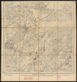 drukowana mapa 216 Schmolsin II - Ujęcie z przodu; Mapę 216 Schmolsin II opracowano w 1889, a dodrukowano w 1919 roku. Obejmuje obszar w pobliżu miejscowości Schmolsin, Kreis Stolp, Reg. Bez. Köslin, Prov. Pommern, dziś Smołdzino, pow. słupski, woj. pomorskie, Polska. Jest jedynym zachowanym egzemplarzem arkusza przedwojennej mapy topograficznej oznaczonego godłem 216, zawierającym dane o lokalizacji obiektów i ich nazw w zasobie archiwalnym Flurnamen Sammlung. Na drukowanej mapie ręcznie naniesiono warstwę z numeracją obiektów fizjograficznych odnoszących się do miejscowości: Schmolsin; Holzkathen, dziś Smołdziński Las; Schlochow, dziś Człuchy; Gr. Garde, dziś Gardna Wielka; Selesen, dziś Żelazo; Virchenzin, dziś Wierzchocino; Stohentin, dziś Stojcino; Vietkow, dziś Witkowo; Rumbske, dziś Rumsko; Rowen, dziś Równo.