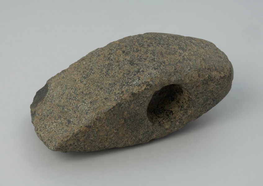 Topór kamienny - Ujęcie z dołu; Topór o wydłużonej części tylnej zakończonej wąskim obuchem, z wywierconych otworem przesuniętym ku tyłowi. Przekrój poprzeczny czworokątny wysoki. W w rzucie bocznym trapezowaty z lekko skośnym ostrzem i lekko łukowatym obuchem. Przy otworze, na stronie górnej, ślady wykucia płytkiej miseczki pod wiercenie. Powierzchnia zerodowana ze śladami szlifowania i puncowania. Ostrze wtórnie uszkodzone