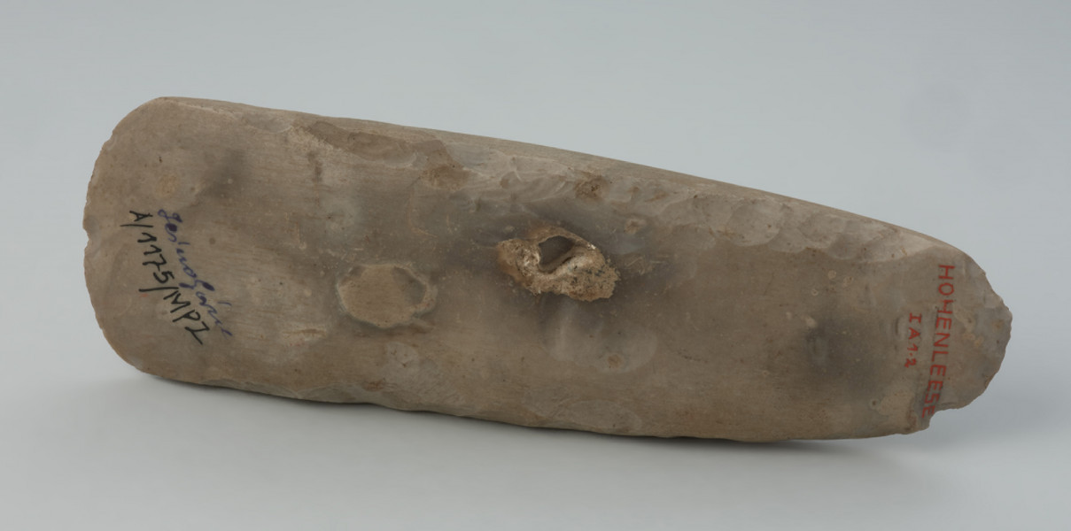 Siekiera krzemienna - Ujęcie z tyłu; Długa, smukła siekierka czworościenna z cienkim obuchem, wykonana z krzemienia kredowego o niejednolitej, szarej barwie. Obuch i ostrze łukowe. Powierzchnia wygładzona, miejscami do połysku, ze śladami po rdzeniowaniu przy krawędziach bocznych i na obuchu. Na powierzchni szerszej ślad kory. Ostrze z drobnymi śladami wtórych uszkodzeń.