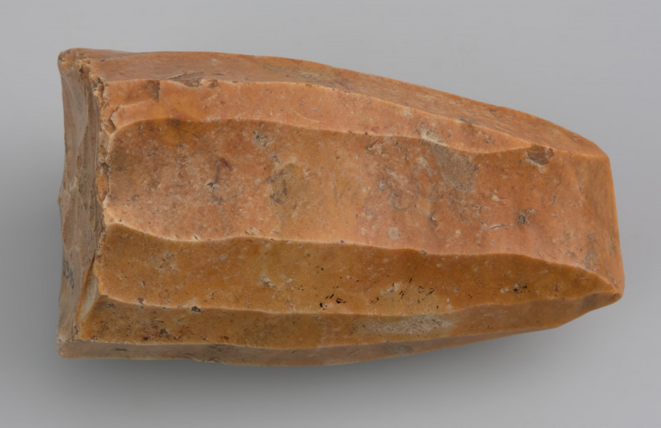 rdzeń wiórowy stożkowaty - ujęcie z tyłu; Rdzeń stożkowaty o dookolnej odłupni i świeżonej pięcie. Odłupnia ma 12 negatywów po długich, prostych wiórach odbijanych pośrednikiem. Wykonany z krzemienia dobrej jakości. Pokryty jest czerwono-pomarańczową patyną wskazującą na zaleganie w środowisku o dużej zawartości żelaza.