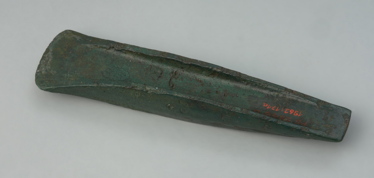 Smukła siekierka o trapezowanym kształcie - Ujęcie z góry spodu siekierki.  Smukła siekierka o trapezowanym kształcie, z dość wysoko podniesionymi brzegami biegnącymi nieprzerwanie od ostrza do końca prosto ściętego obucha. Ostrze jest nieznacznie poszerzone w stosunku do pozostałej części korpusu.