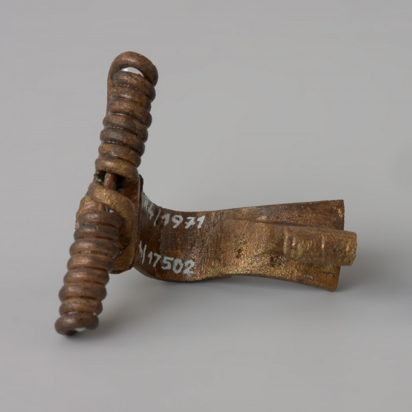 ozdoba; Zapinka z rodziny zapinek z charakterystycznym grzebykiem - Ujęcie z dołu. Zapinka z brązu.