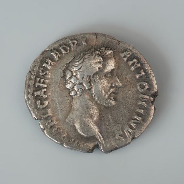 Ujęcie awersu. Denar Antonina Piusa. Powierzchnie są zachowane w różnym stopniu, ale wyobrażenia i napisy są w większej części czytelne. Na awersie monety znajduje się popiersie cesarza zwrócone w prawo. Głowa z brodą jest wyobrażona jako pozbawiona nakrycia, odwołuje się do przedstawień Cezara. Wokół popiersia, w otoku monety znajduje się napis IMP T AEL CAES HADRI ANTONINVS. Rewers monety jest bardziej starty. Zarówno wyobrażenie postaci jak i napis są częściowo nieczytelne lub nie zachowały się. Umieszczono na nim zwróconą w prawo stojącą postać Diany, bogini łowów, przyrody i płodności ubrana w chiton. W prawej opuszczonej ręce postaci znajduje się strzała, w lewej ręce uniesionej na wysokość głowy bogini trzyma łuk. W otoku rewersu znajduje się zachowany fragmentarycznie napis AVG PIVS P M TR P COS DES II.