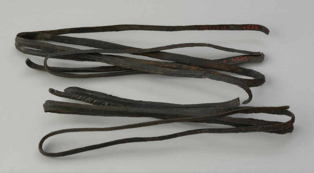 taśma - Ujęcie w poziomie przodu. Surowiec brązowy w postaci wiązki cienkiej taśmy.