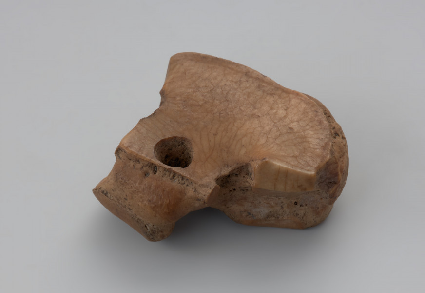 amulet kościany - Ujęcie z boku. Amulet z kości zwierzącej z nawierconym otworem, wykonywanym z dwóch stron, przez co na środku jest zwężony. Poza otworem brak śladów ingerencji ludzkiej, powierzchnia pokryta siecią pęknięć.