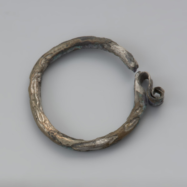 kabłączek skroniowy - Ujęcie dołu z góry. Brązowy kabłączek skroniowy z litego metalu z esowatym spłaszczonym uszkiem podwójnie zwiniętym w spiralę. Powierzchnia spatynowana, ciemnobrązowa.