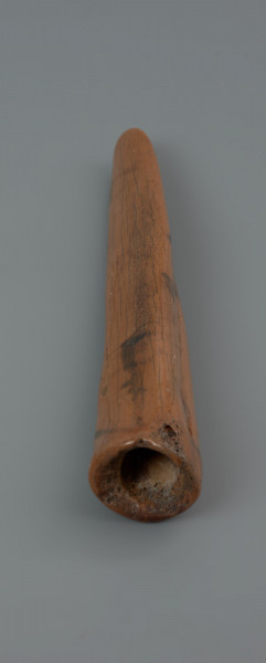 ostrze kościane ornamentowane - ujęcie z dołu; Ostrze wykonane z kości śródstopia jelenia poprzez ścięcie podłużnego jej fragmentu w połowie długości. Część pracująca ma kształt szpatułkowaty o zaokrąglonej, na skutek użytkowania, krawędzi. Zabytek pokryty jest pojedynczym pasmem ornamentu, składającym się z dwóch serii nacięć, które przebiega wzdłuż krawędzi części pracującej ku podstawie.