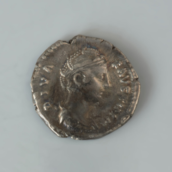 Ujęcie awersu. Denar Antonina Piusa wybity dla Faustyny I, żony cesarza. Powierzchnie nie są starte, wyobrażenia i napisy czytelne. Na awersie znajduje się popiersie cesarzowej Faustyny zwrócone w prawo, w ozdobnym welonie, włosy zaplecione. Wokół popiersia znajduje się napis DIVA FAUSTINA. Na rewersie umieszczono wyprostowana stojącą przodem postać Fortuny, bogini losu ludzkiego z głową zwróconą w prawo. W prawej uniesionej ręce bogini znajduje się glob ziemski. Po lewej stronie Fortuny widnieje natomiast wyobrażenie stojącego pionowo steru okrętowego będącego symbolem losu ludzkiego. W otoku rewersu znajduje się napis AETERNITAS.