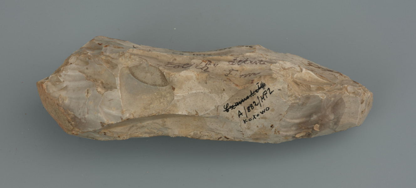 ciosak; półwytwór ciosaka rdzeniowego - ujęcie z boku; Półwytwór ciosaka rdzeniowego, wykonany z surowca wysokiej jakości. Dość duży, wykonany z podłużnej, owalnej bryły krzemienia. Obuch naturalny, pokryty cienką, silnie zdartą korą. Powierzchnia ukształtowana negatywami dużych odłupków wykonanych twardym tłukiem. Przekrój lekko rombowaty, z dwoma krawędziami, od których odbijano odłupki. Powierzchnia zabytku pokryta jasną patyną.