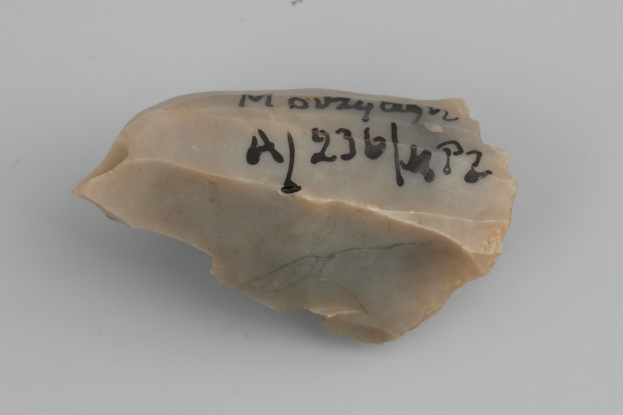 Rdzeń naciskowy podstożkowy - ujęcie z tyłu; Rdzeń naciskowy podstożkowy. Pięta rdzenia, czyli powierzchnia, do której przykładano naciskacz, jest płaska, uformowana jednym odbiciem. W końcowej fazie eksploatacji, krótko przed porzuceniem, jeden z boków rdzenia został częściowo odbity kamiennym tłuczkiem. Widoczne są również ślady po różnych zabiegach mających na celu drobne naprawy wierzchołka oraz tyłu rdzenia. Na tyle widoczny zapis numeru inwentarzowego.