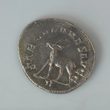 moneta; Srebrny antoninian Filipa I Araba - Ujecie rewersu. Srebrny antoninian Filipa I Araba. Moneta jest zachowana w dobrym stanie, zarówno wizerunki jak napisy na awersie i rewersie monety są czytelne.
