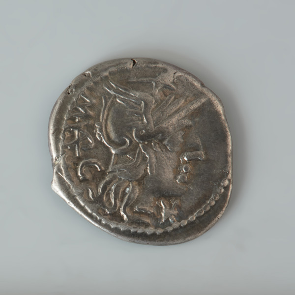 Ujęcie awersu. Srebrny denar z okresu Republiki Rzymskiej. Na awersie monety znajduje się wyobrażenie głowy bogini Romy w skrzydlatym hełmie zwrócone prawym profilem. Po jej lewej stronie widnieje napis M Varg, a po prawej zatarte wyobrażenie  sześcioramiennej gwiazdy oznaczającej XVI. Wokół krawędzi biegnie rząd punktów. Na rewersie widnieje postać Jowisza w kwadrydze, zwrócona w prawo. W lewej ręce trzyma błyskawicę i wodze kwadrygi, a w prawej gałąź. Pod postacią widnieje napis ROMA.