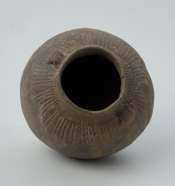Naczynie gliniane - Ujęcie wnętrza.  Amfora o baniastym brzuścu i cylindrycznej szyjce z parą taśmowatych uch umieszczonych pomiędzy nasadą szyjki i górną partią brzuśca, zdobiona na szyjce pod wylewem podwójnym pasmem pionowych stempelków (słupków), analogicznym, ale pojedynczym pasmem u nasady szyjki, a w górnej części brzuśca dookolnie parami pionowych linii odcisków sznura. Naczynie zrekonstruowane i uzupełnione gipsem barwionym. Barwa od szarobrunatnej przez brunatną po brązową.